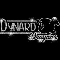 GLT101 SILVER GLITTER Thumbnail